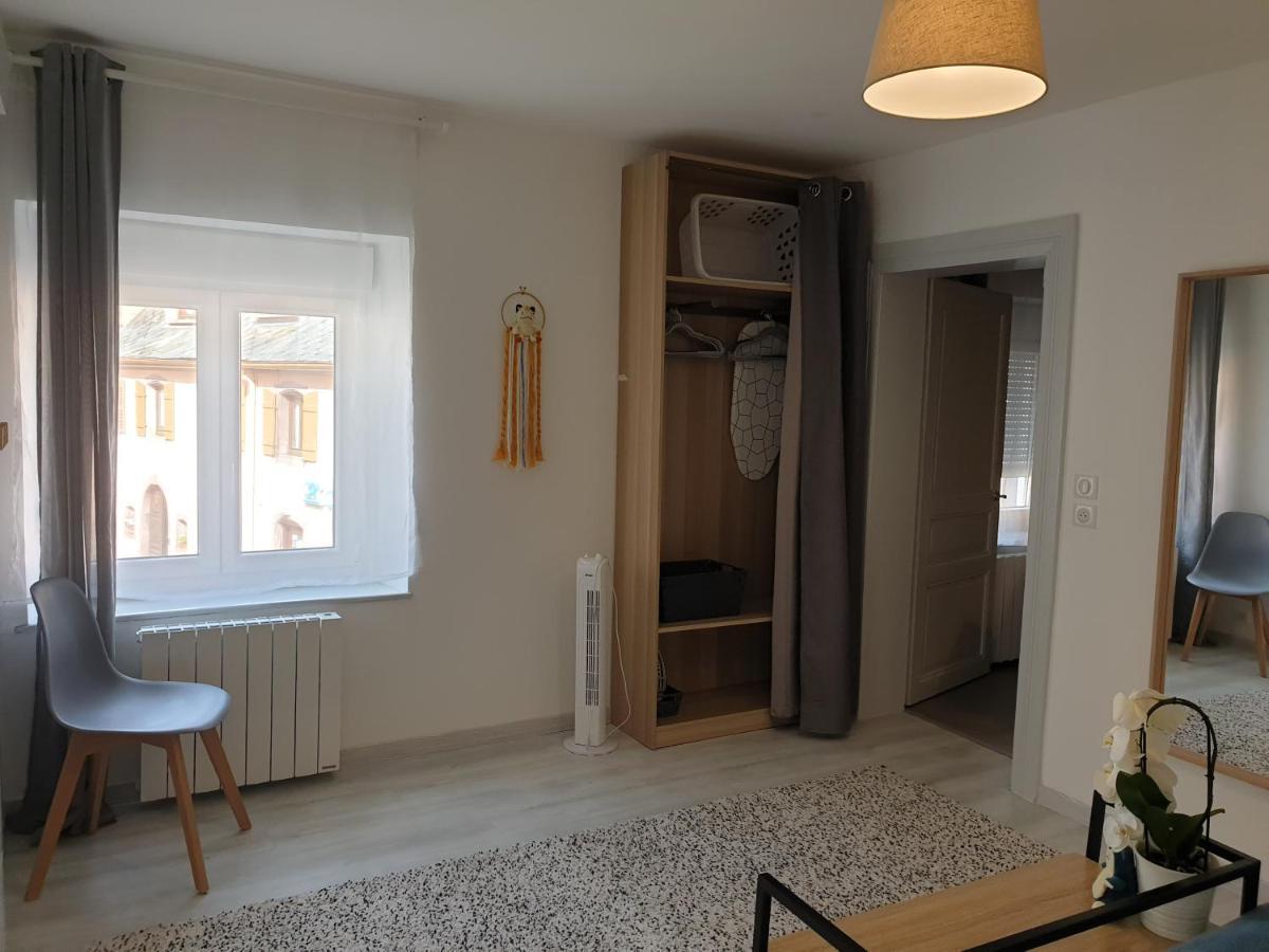 Le Terramon - Appartement 4 Personnes Orbey Ngoại thất bức ảnh